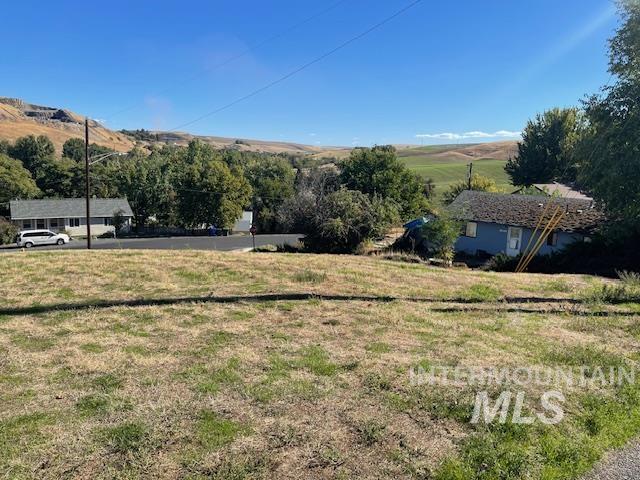 View of yard with a rural view and view of scattered trees