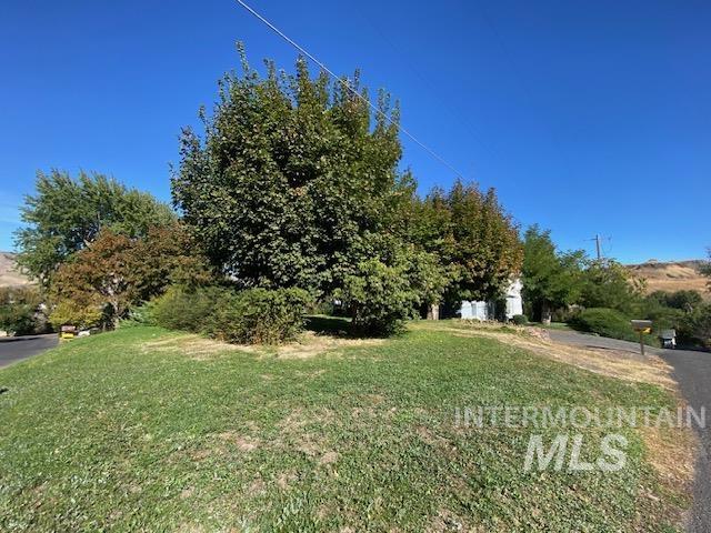 View of grassy yard large front yard with garden spot and privacy hedge.