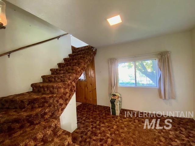 Stairway featuring carpet
