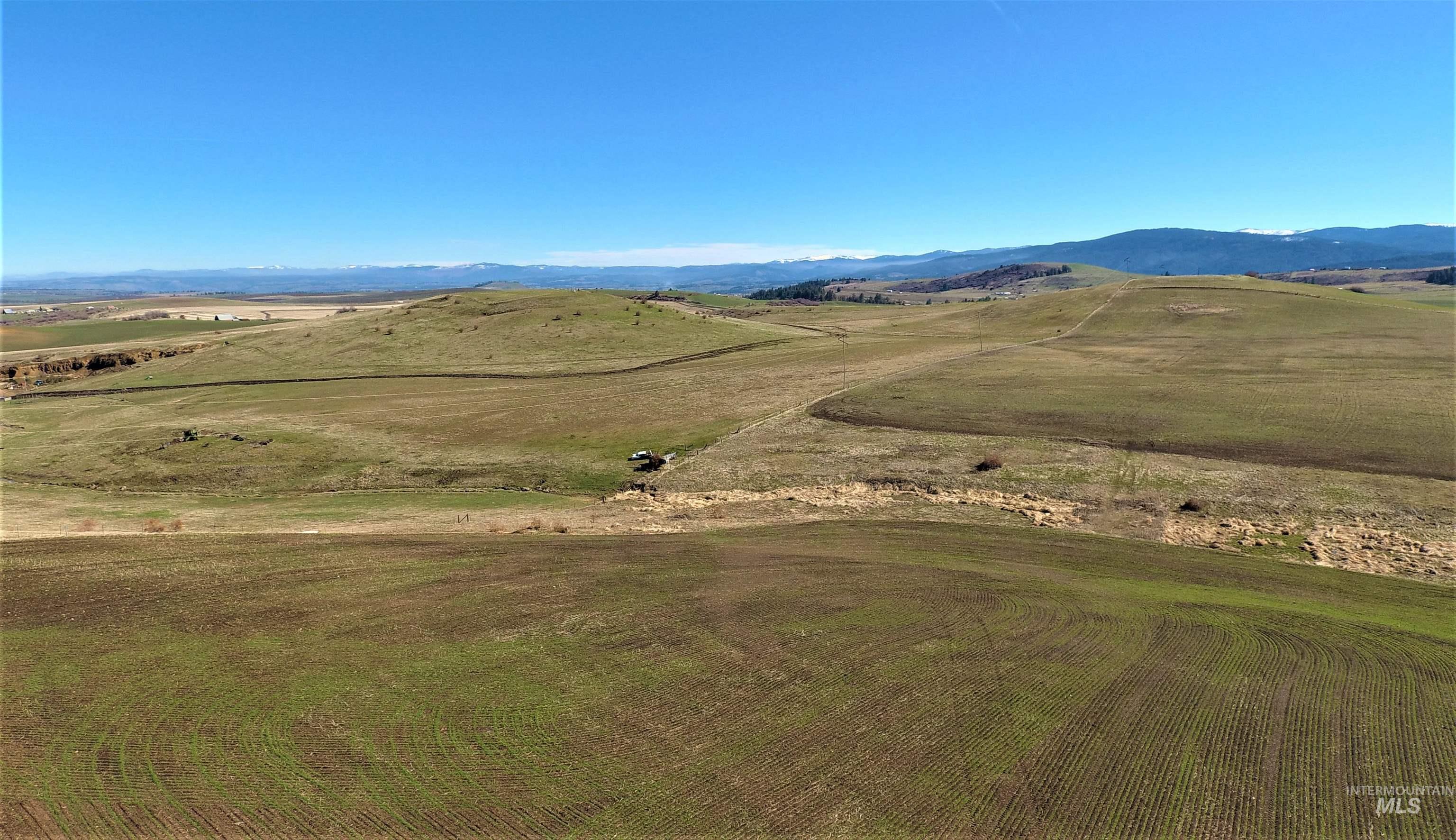 186 Vrieling Road, Grangeville, Idaho image 32