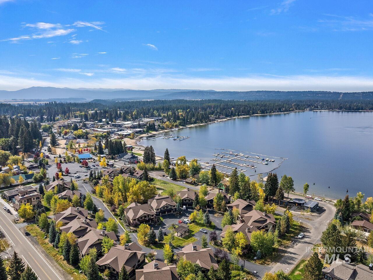 Aerial perspective of suburban area featuring a water and mountain view and a heavily wooded area