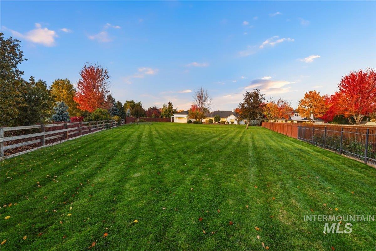 View of fenced backyard