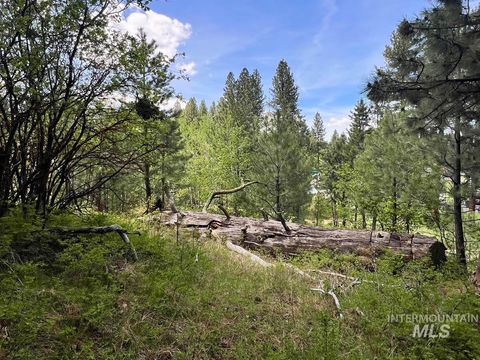 Photo of 75 Cabarton Road, Cascade, ID 83611 (MLS # 98976747)