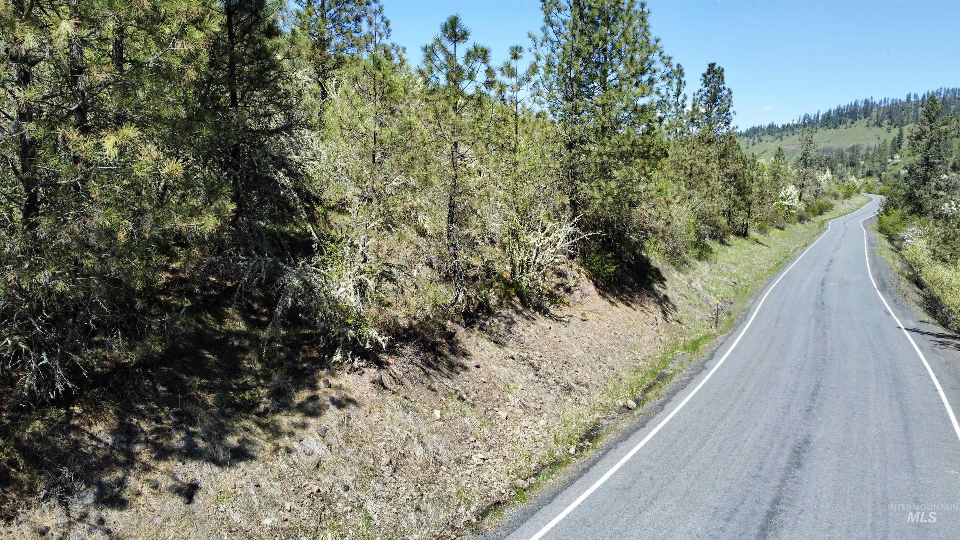 TBD Lukes Gulch Rd, Stites, Idaho image 11