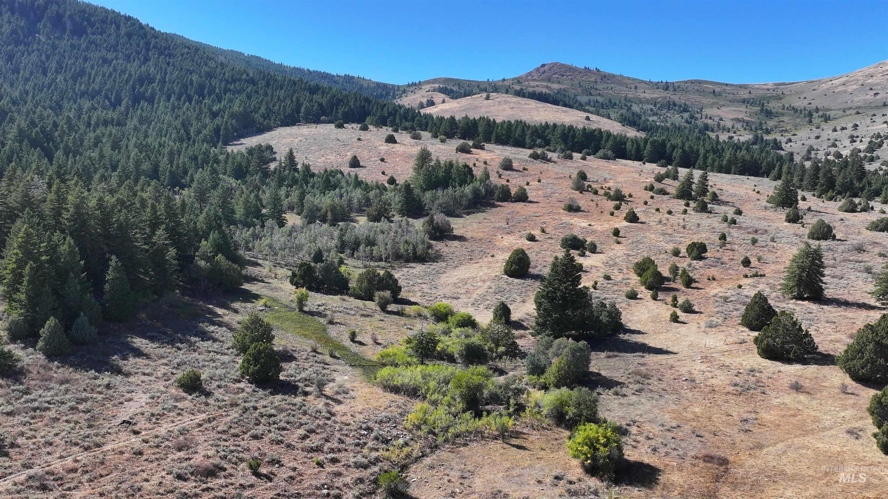1200 S Lands Creek Road