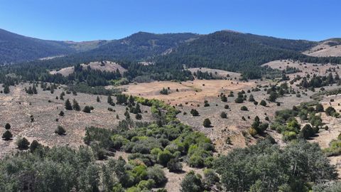 1200 S Lands Creek Road Albion ID 83311