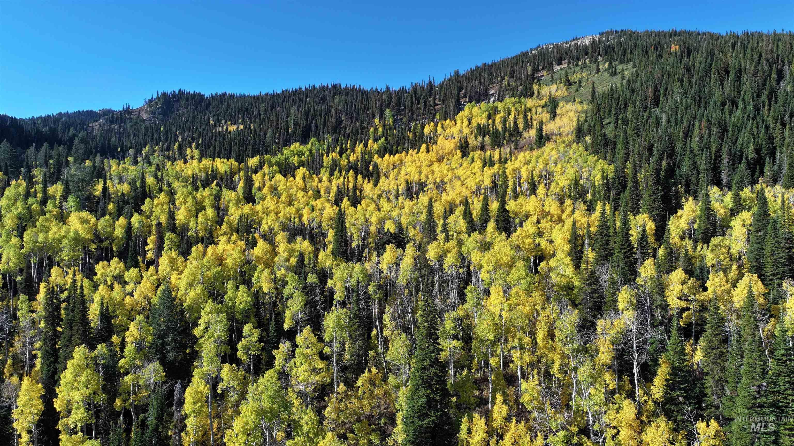 1200 S Lands Creek Road
