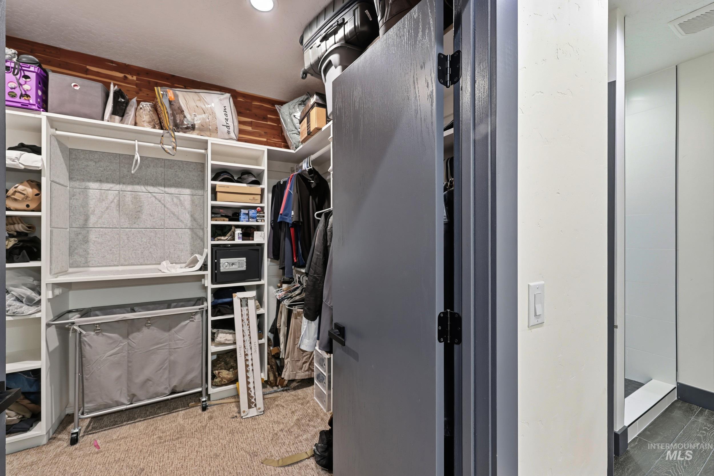 Spacious closet featuring light carpet