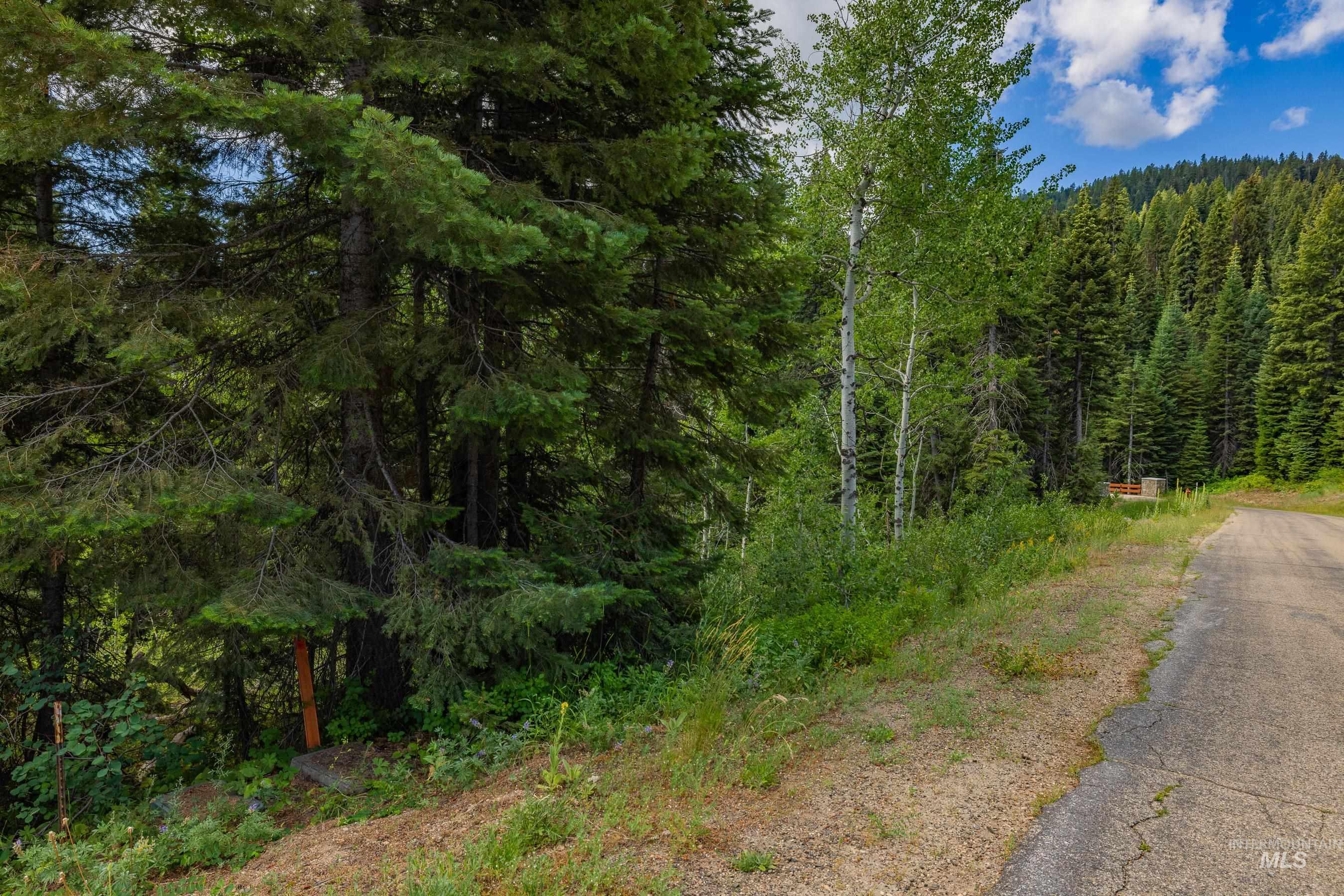View of street with a view of trees