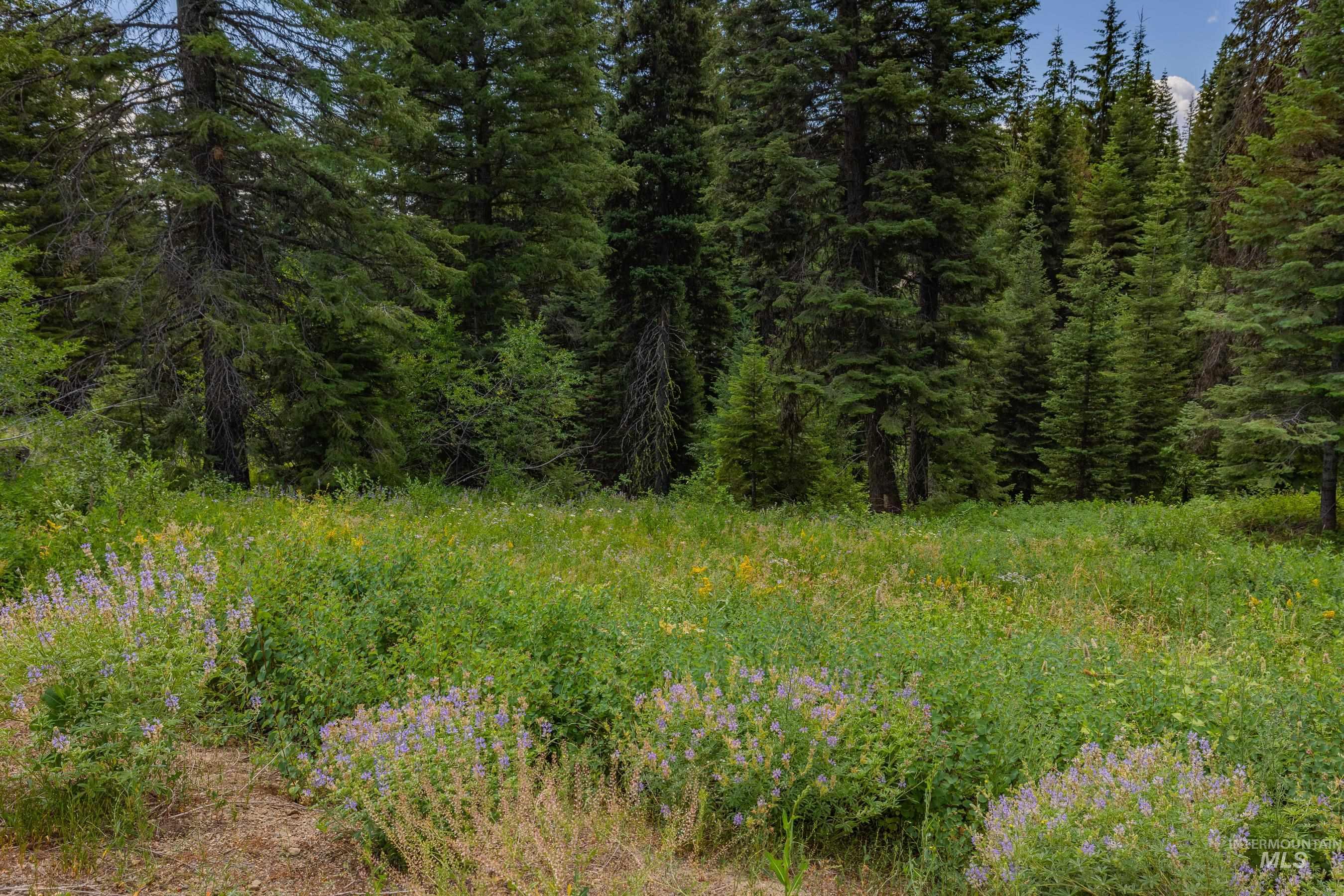 View of undeveloped land