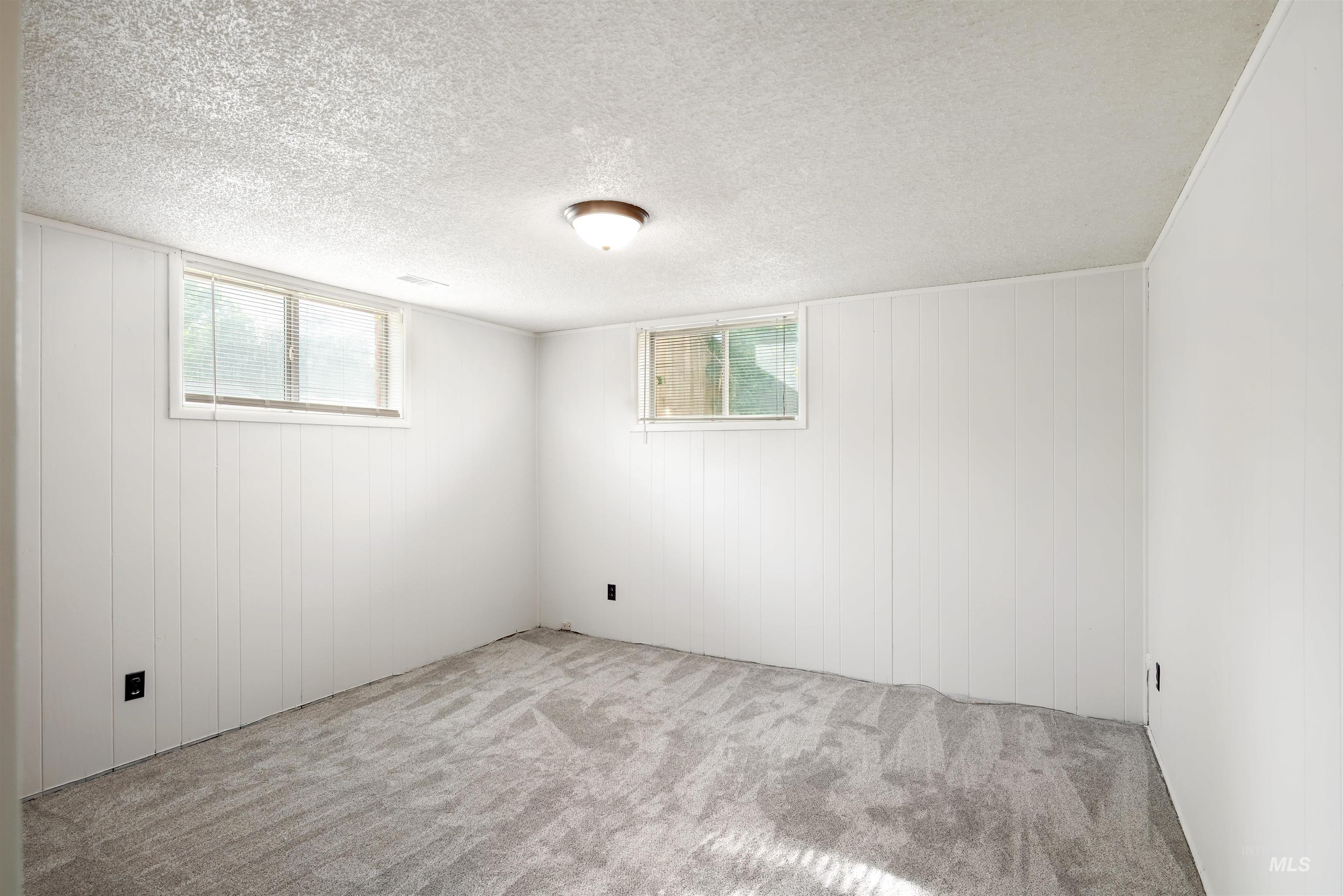 Below grade area featuring carpet, a textured ceiling, and wood walls