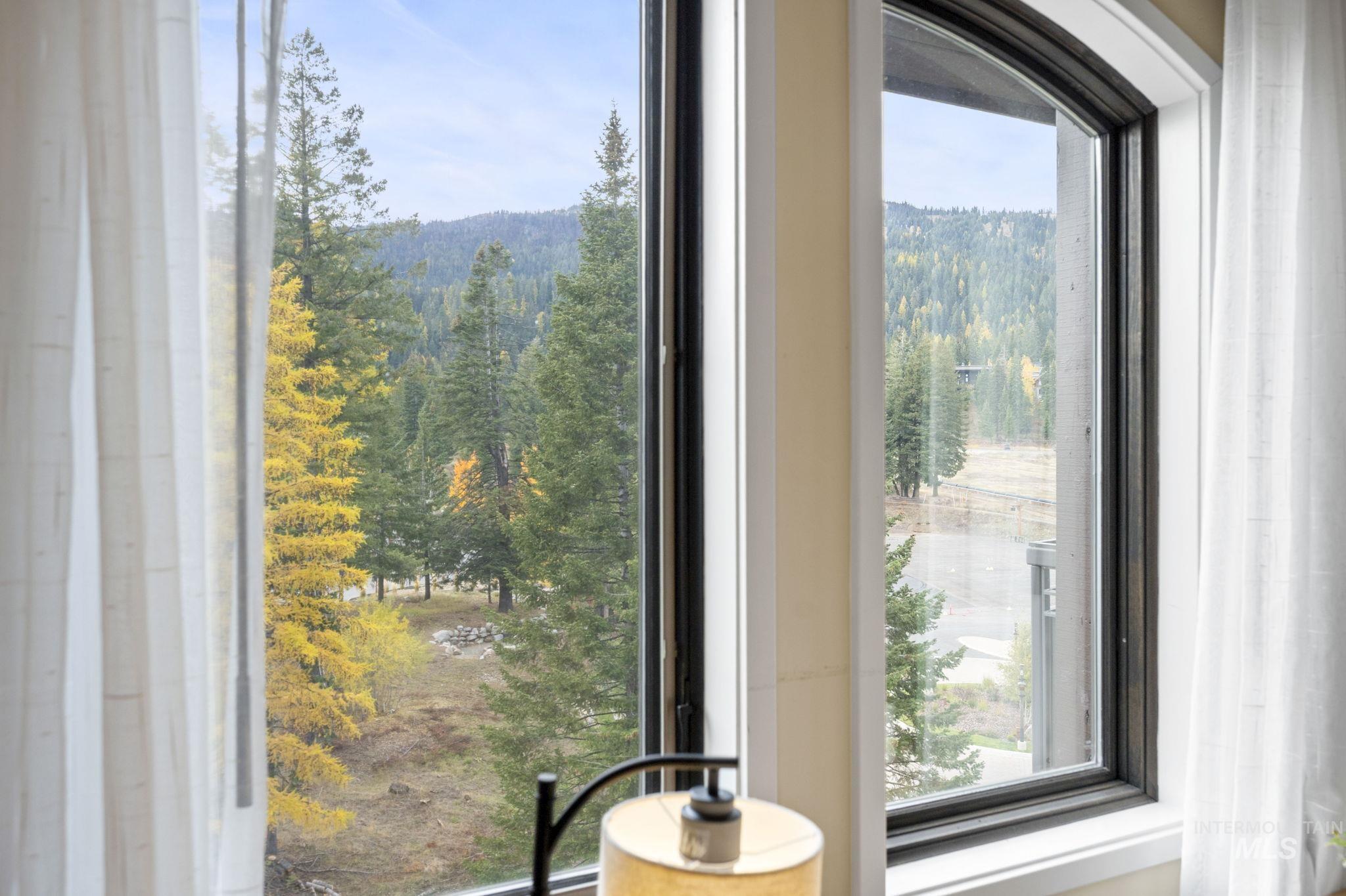 Detailed view of a heavily wooded area