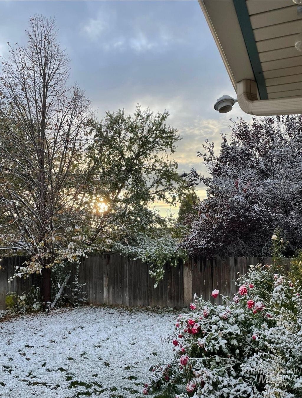 Photo of 11757 W Mount Hood Ave, Nampa, ID 83651 (MLS # 98974245)