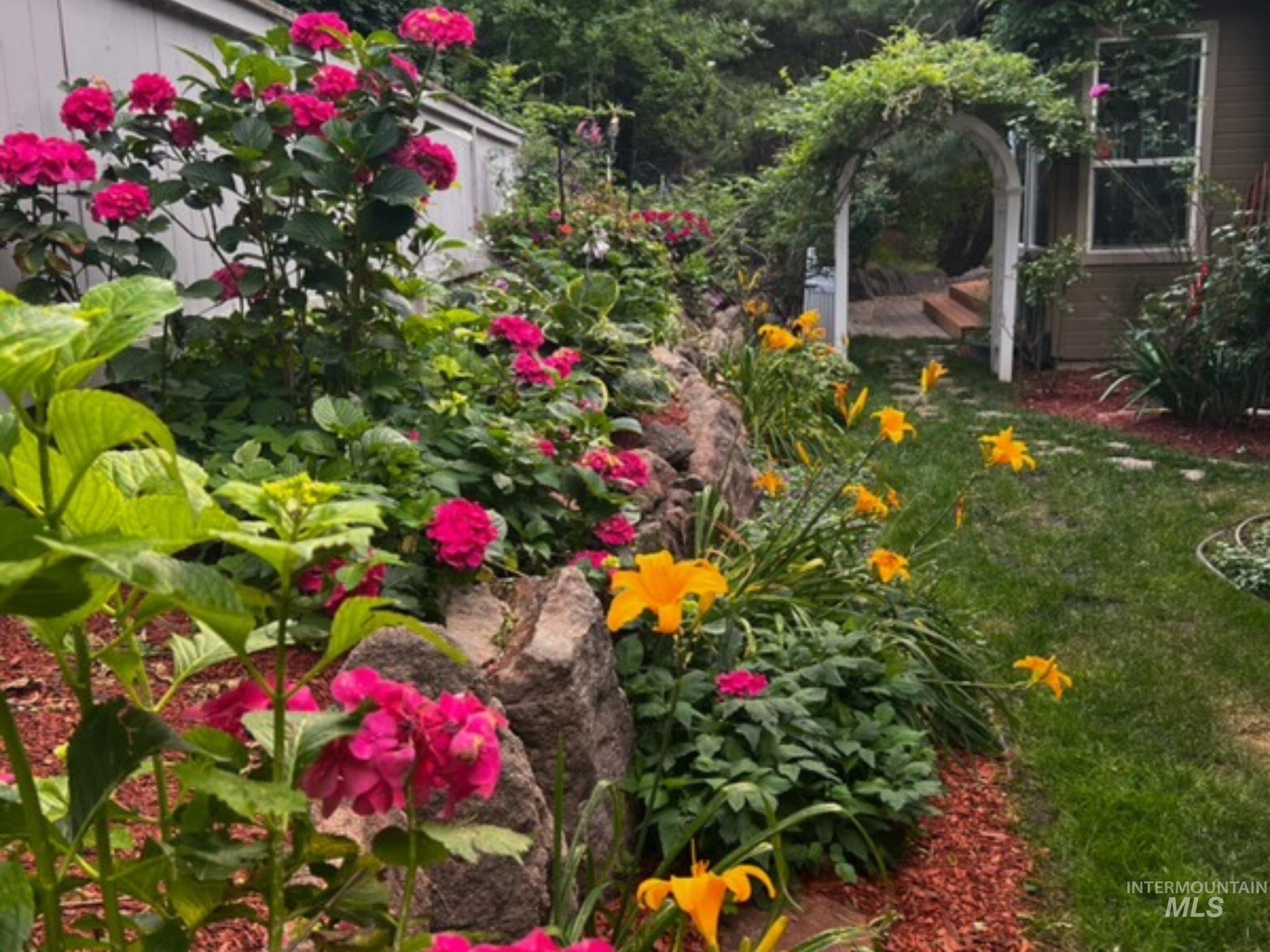 Garden pathway framed by a white arbor with climbing foliage