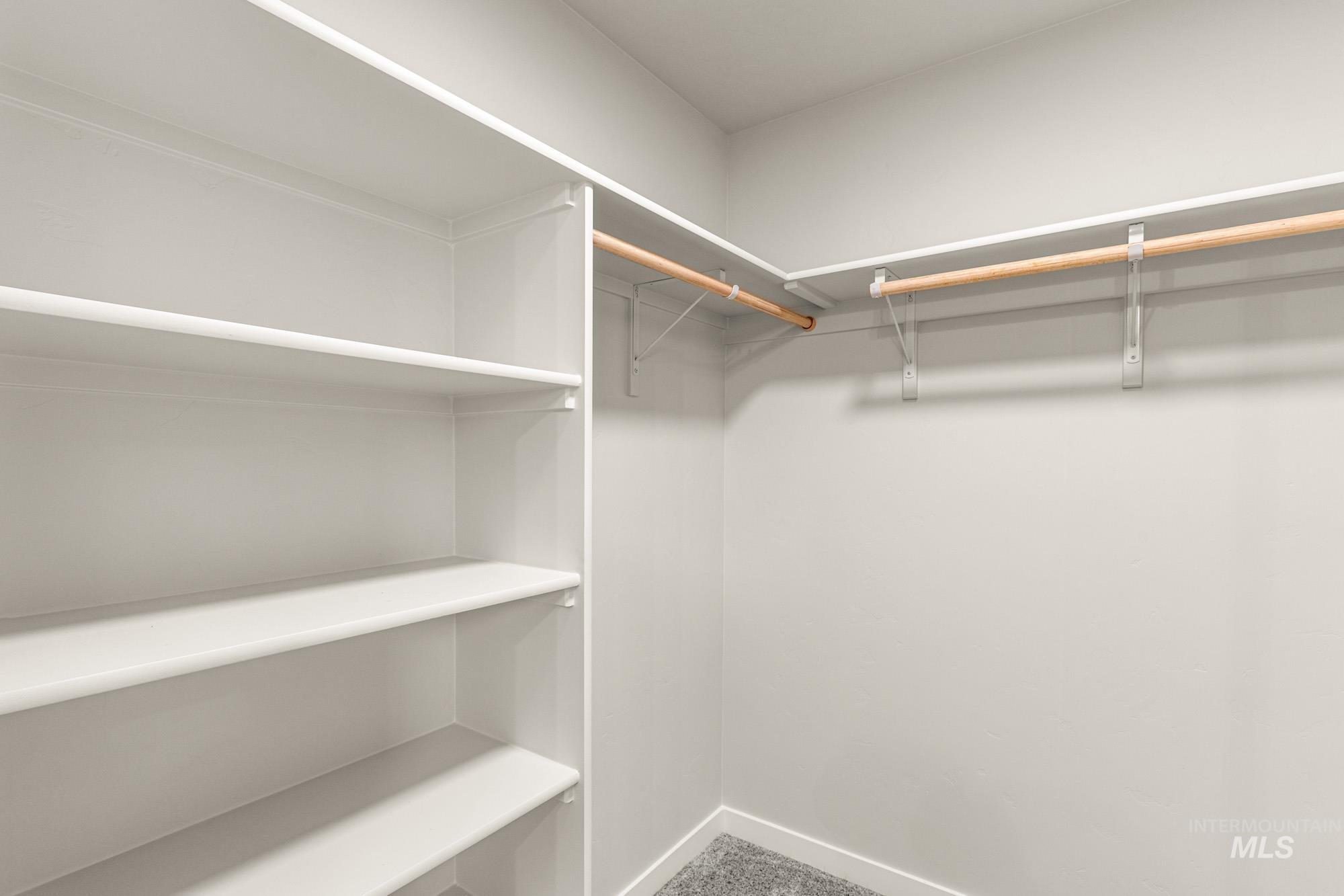 Walk in closet with carpet floors