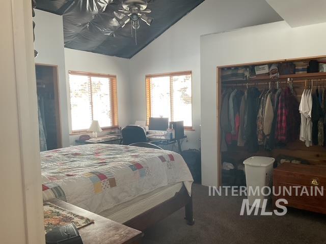 Carpeted bedroom with vaulted ceiling, a closet, and a ceiling fan