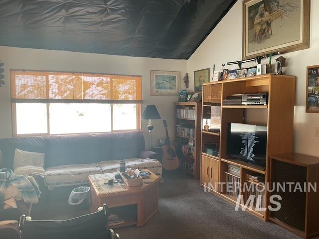 Sitting room with dark carpet and lofted ceiling
