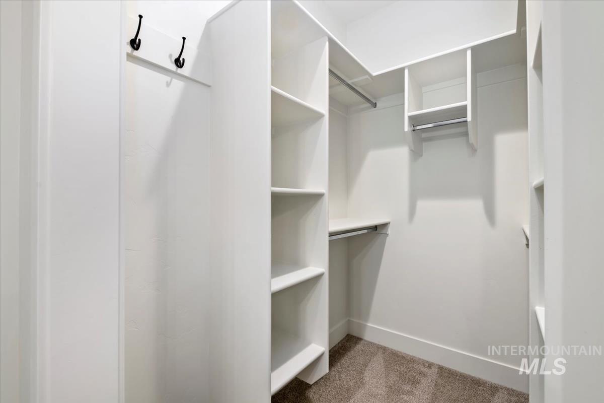 Spacious closet featuring carpet
