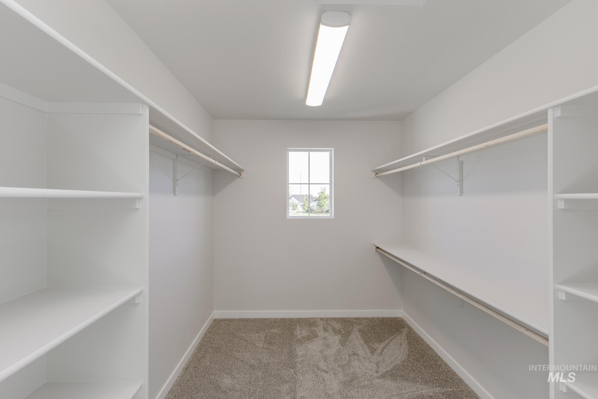 Walk in closet with light carpet
