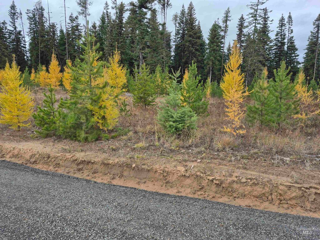 Photo of TBD French Gulch Rd Parcel 2 &amp; 3, Elk City, ID 83525 (MLS # 98939908)