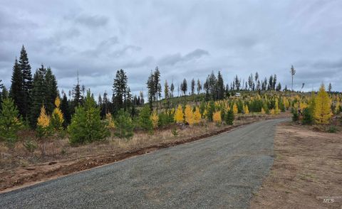 Photo of TBD French Gulch Rd Parcel 2 & 3, Elk City, ID 83525 (MLS # 98939908)