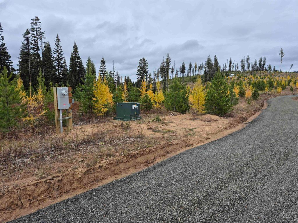 Photo of TBD French Gulch Rd Parcel 2 &amp; 3, Elk City, ID 83525 (MLS # 98939908)