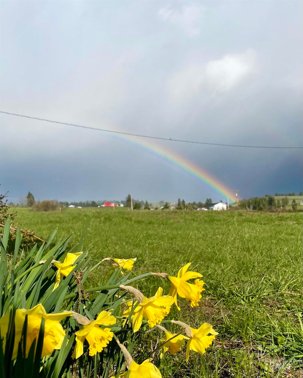 Photo of 637 Leitch Creek Rd #(+ 5AC Touch of Coun, Kooskia, ID 83539 (MLS # 98999793)