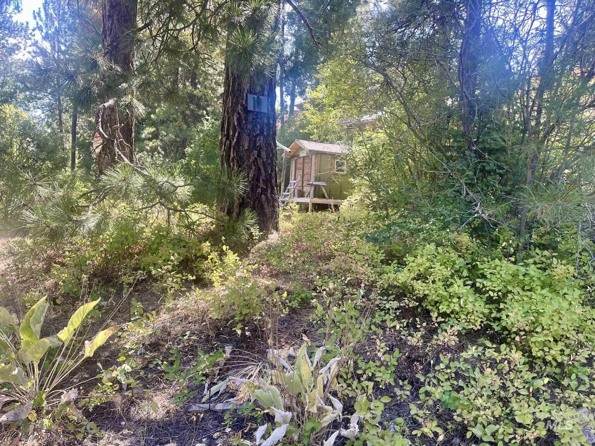 View of yard featuring a wooded view