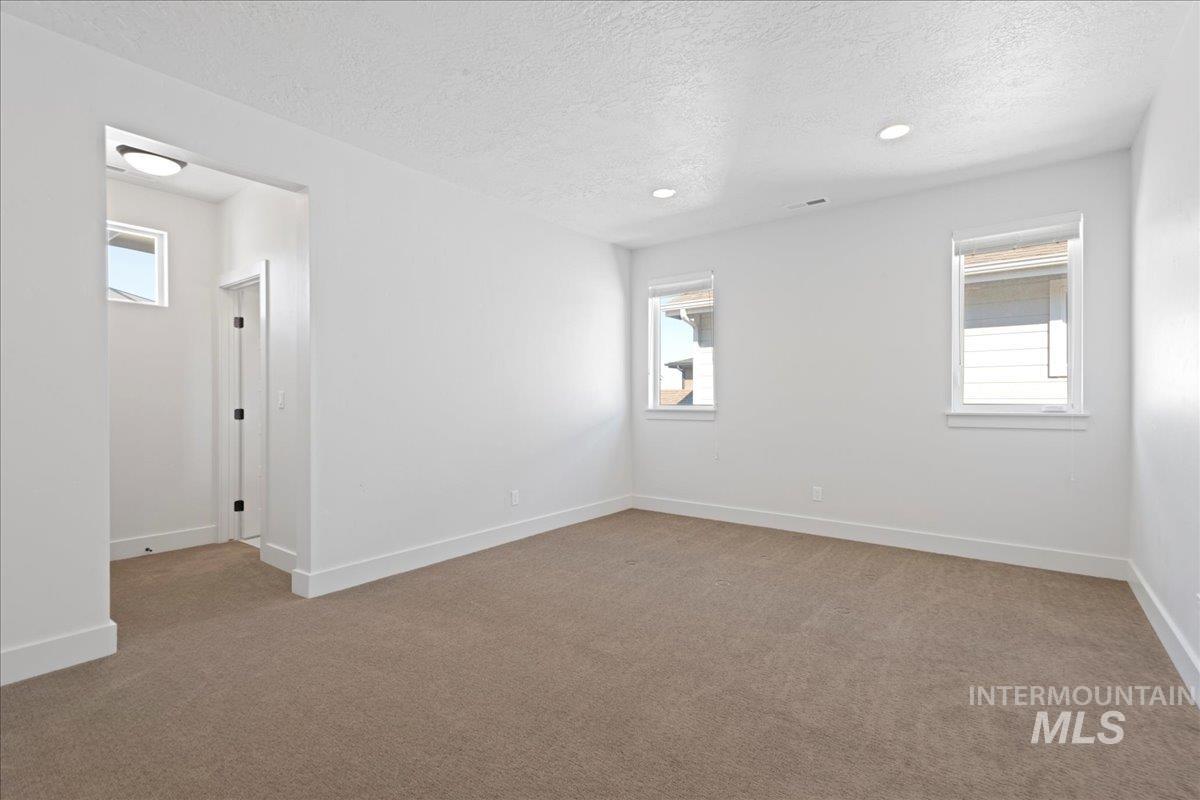 Empty room with healthy amount of natural light, light carpet, a textured ceiling, and recessed lighting