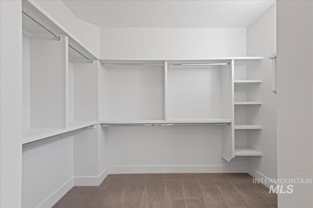 Spacious closet featuring light carpet
