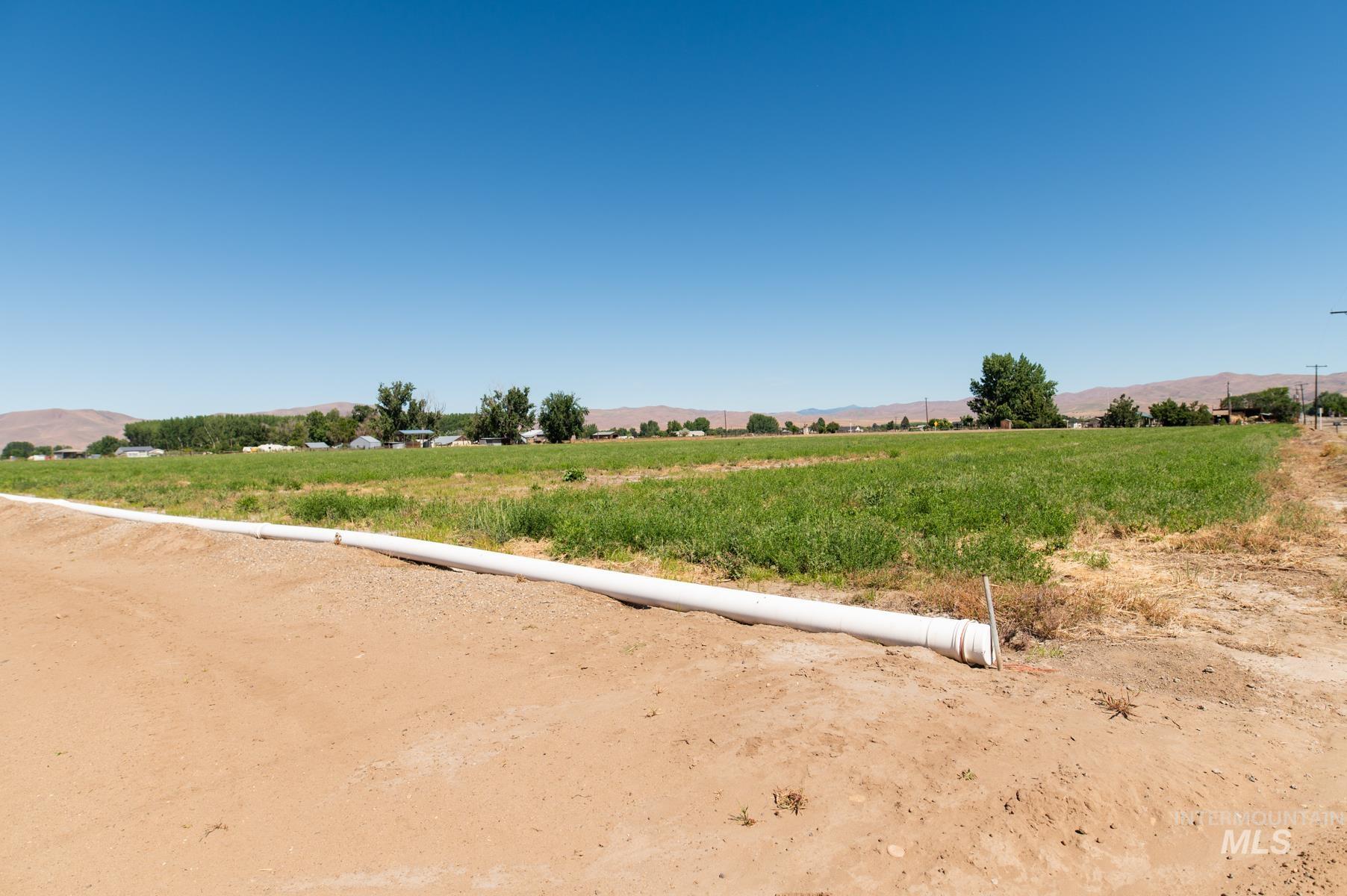 Expansive agricultural land featuring a PVC irrigation pipe and green crops under a clear sky