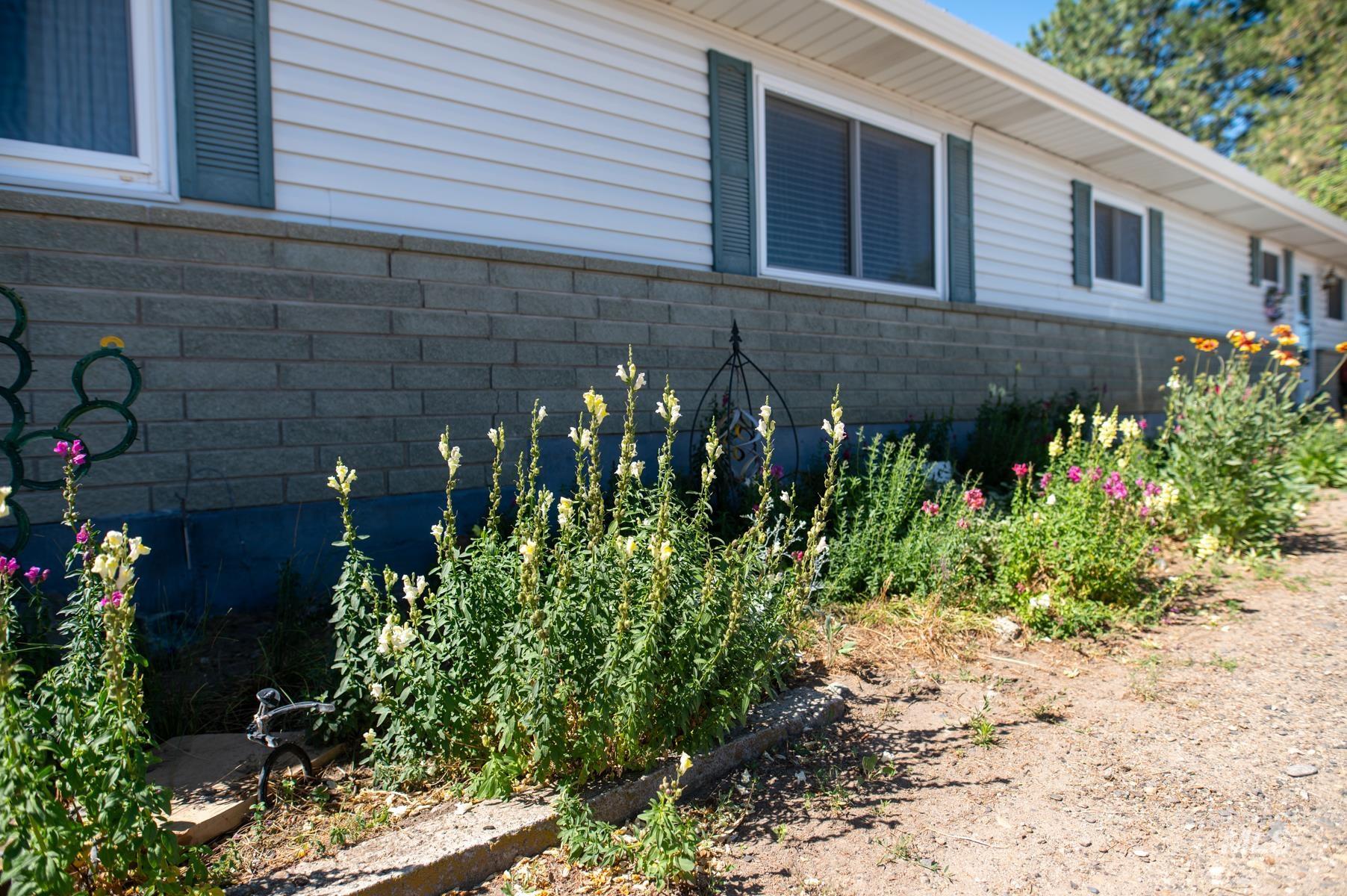Exterior siding in white with gray foundation block