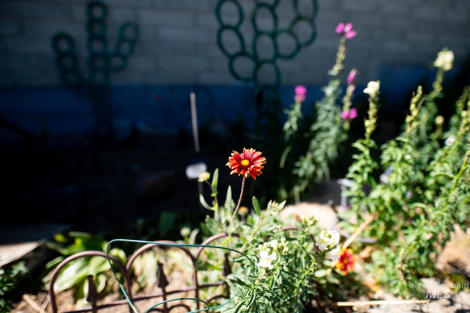 Garden area featuring diverse flora and a painted brick wall