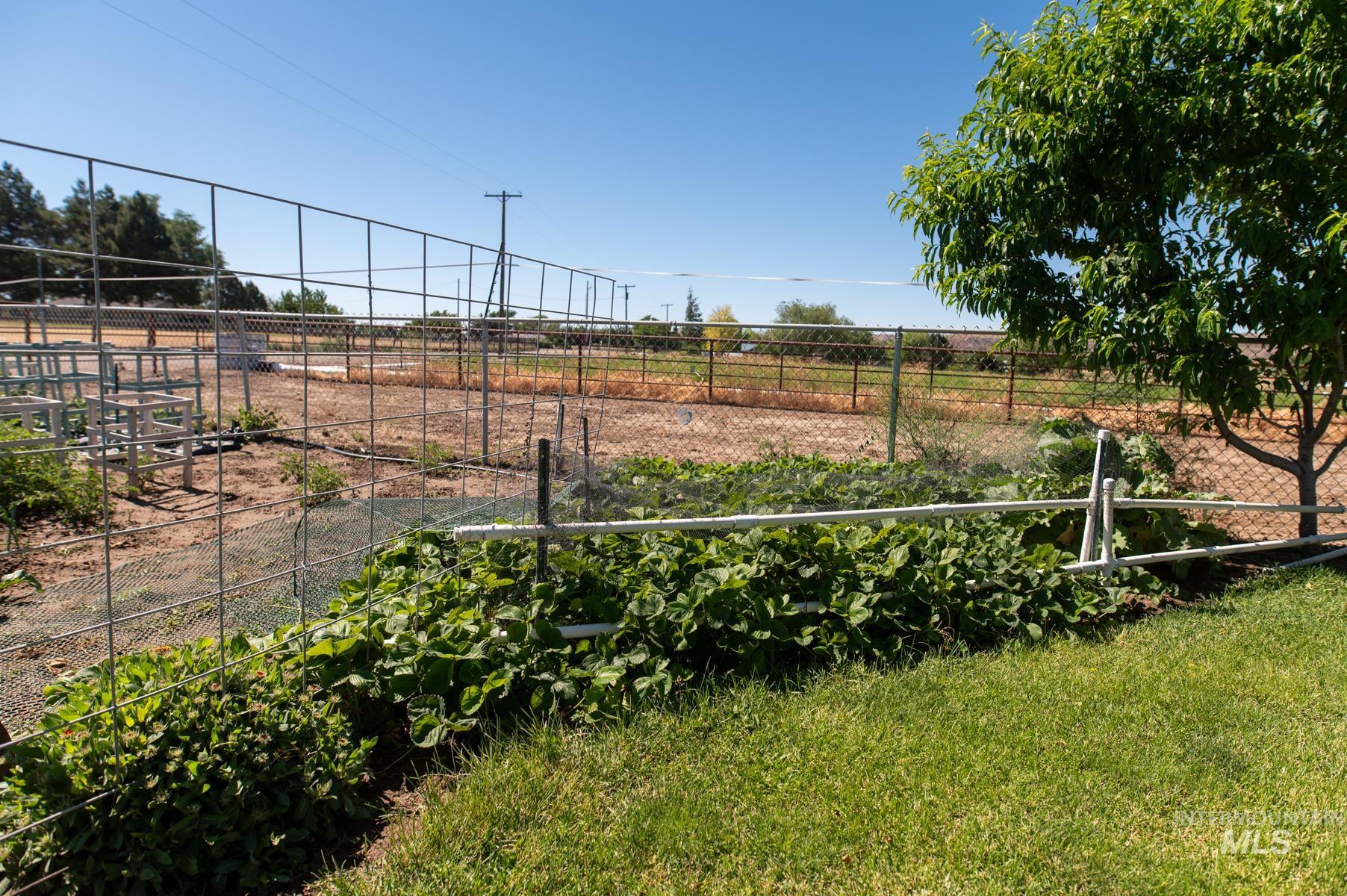 Expansive outdoor space featuring a manicured lawn, established garden beds, mature trees, and perimeter fencing