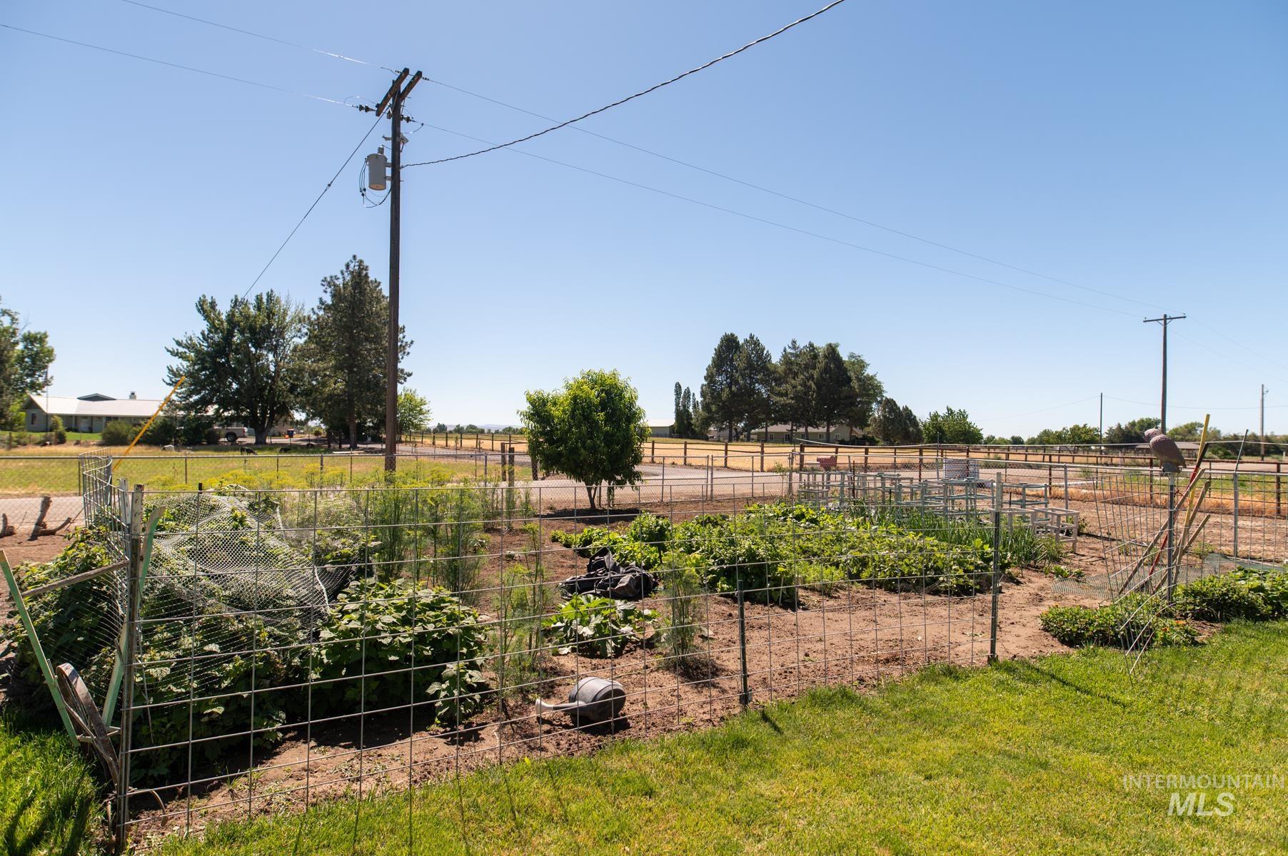 Expansive garden area featuring diverse plantings, wire fencing, and a clear expanse of blue sky