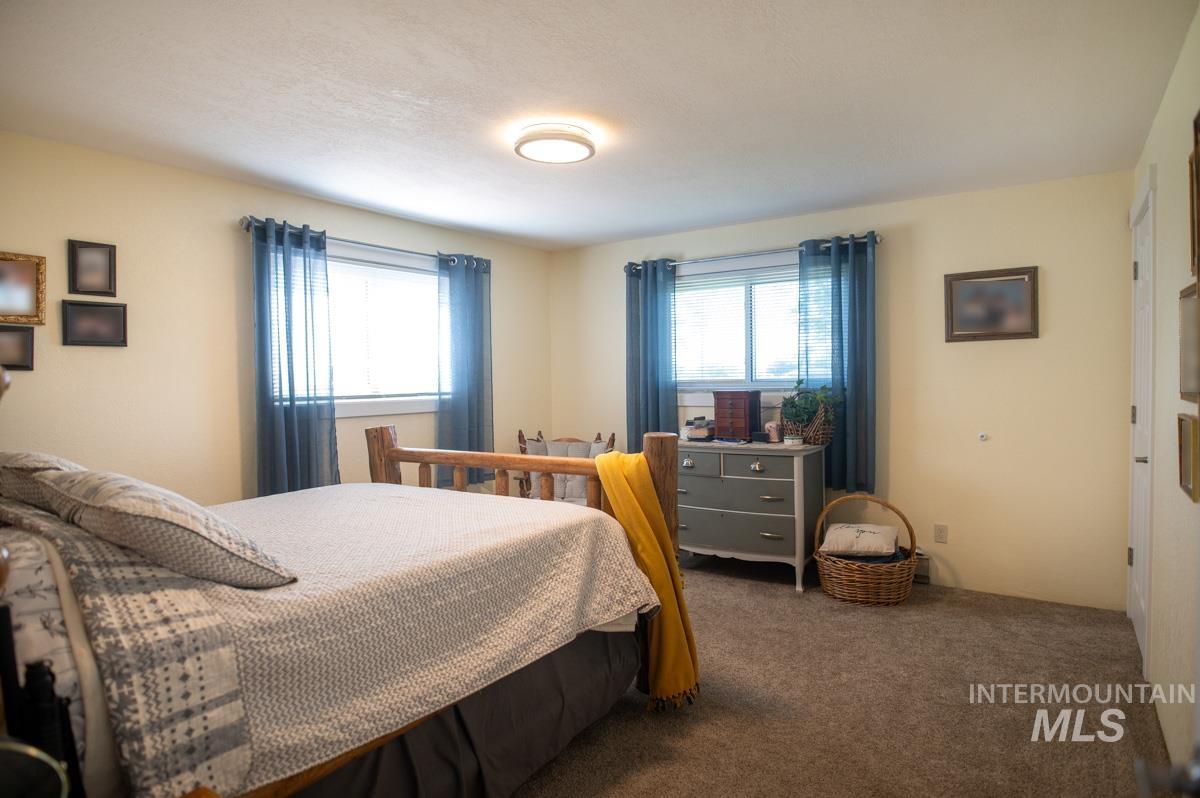 Carpeted bedroom with multiple windows