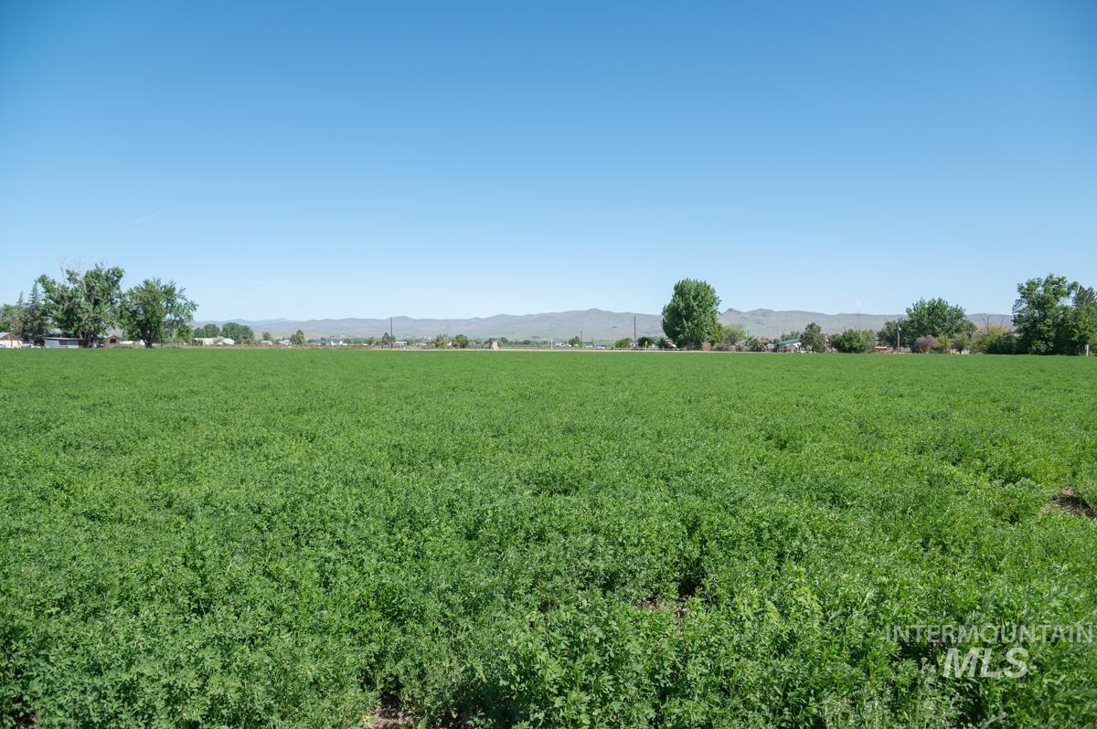 View of nature with rural landscape and a mountain backdrop