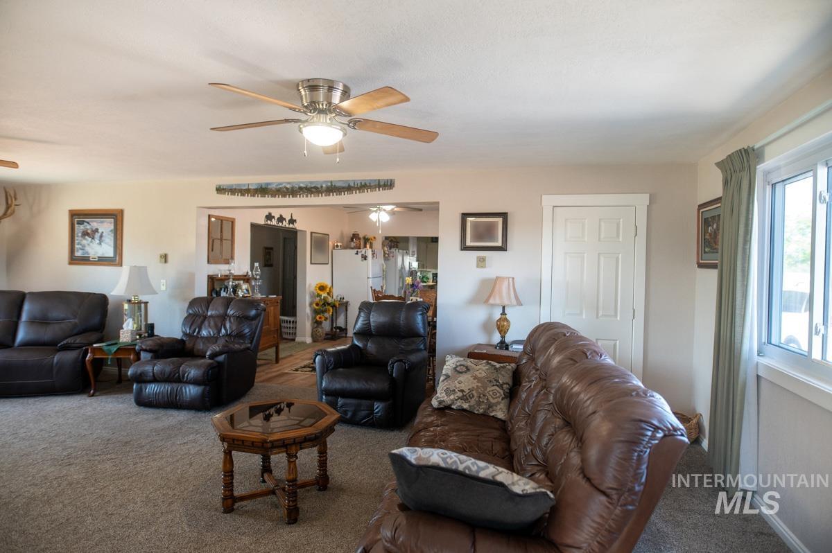 Living area with carpet and ceiling fan