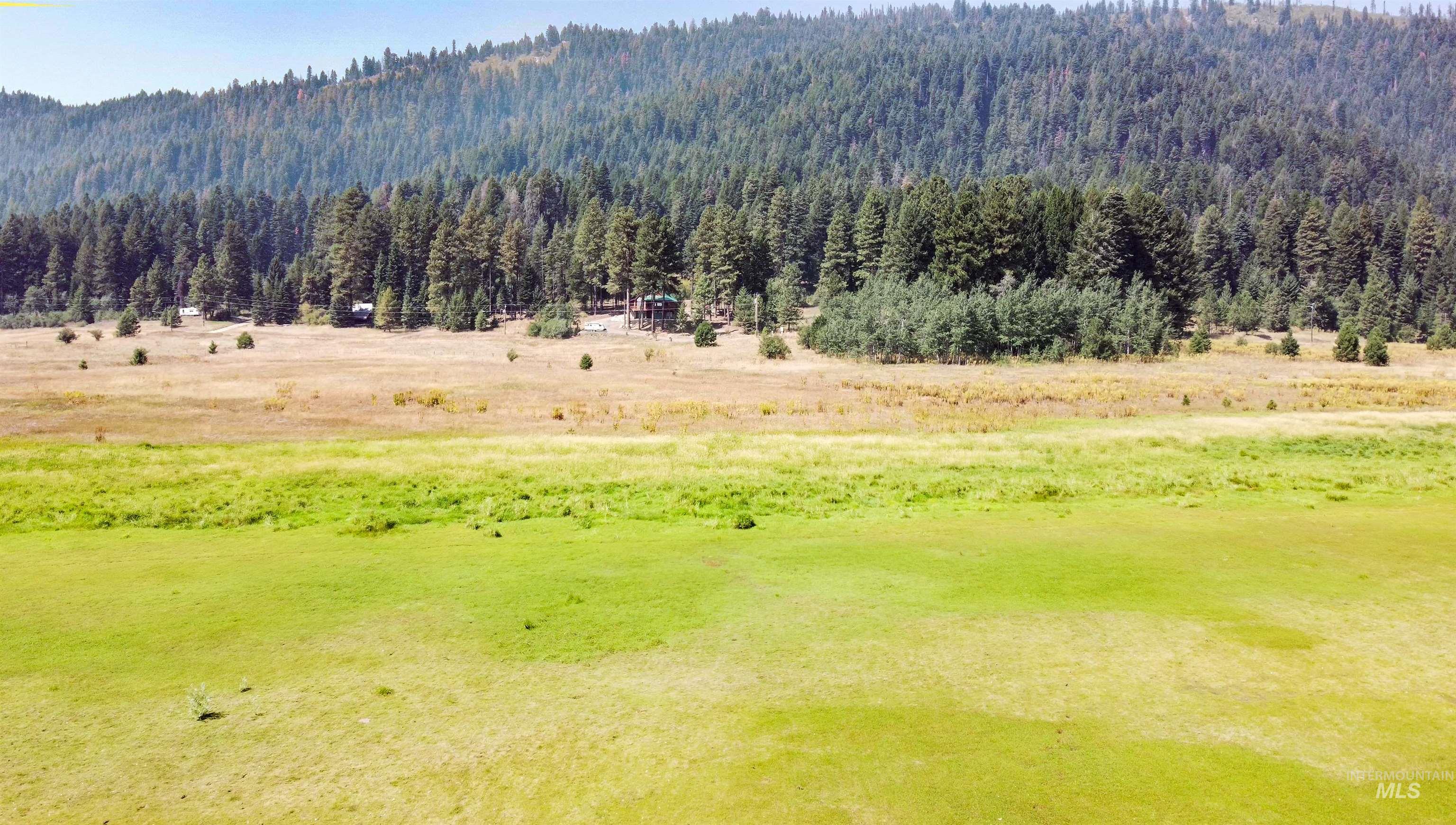 Mountain view featuring a forest