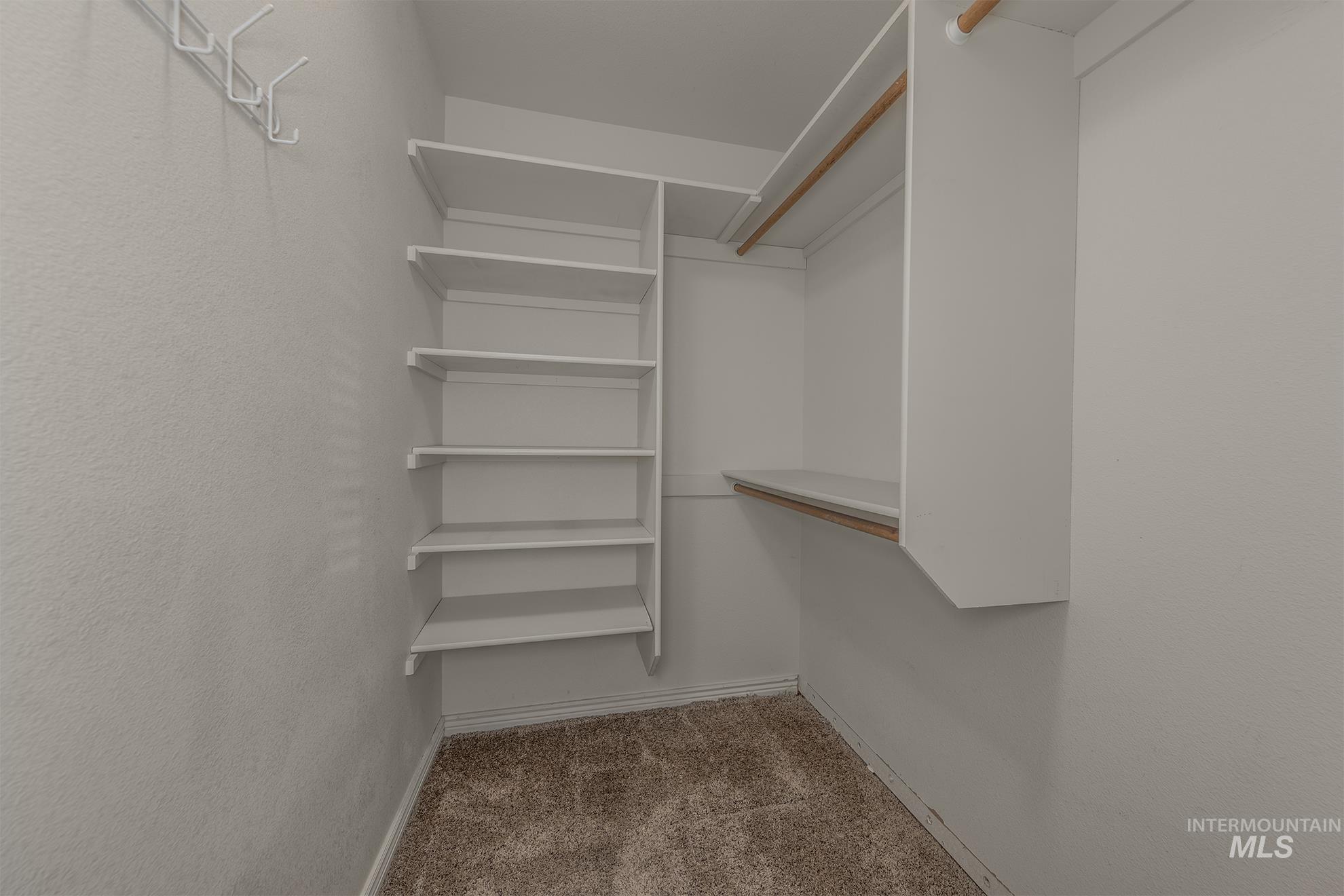 Walk in closet featuring light carpet