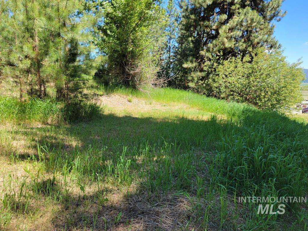 View of undeveloped land