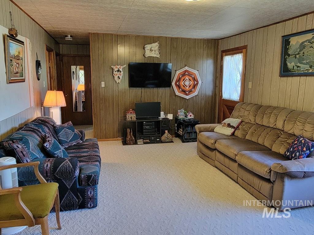 Carpeted living room featuring wooden walls