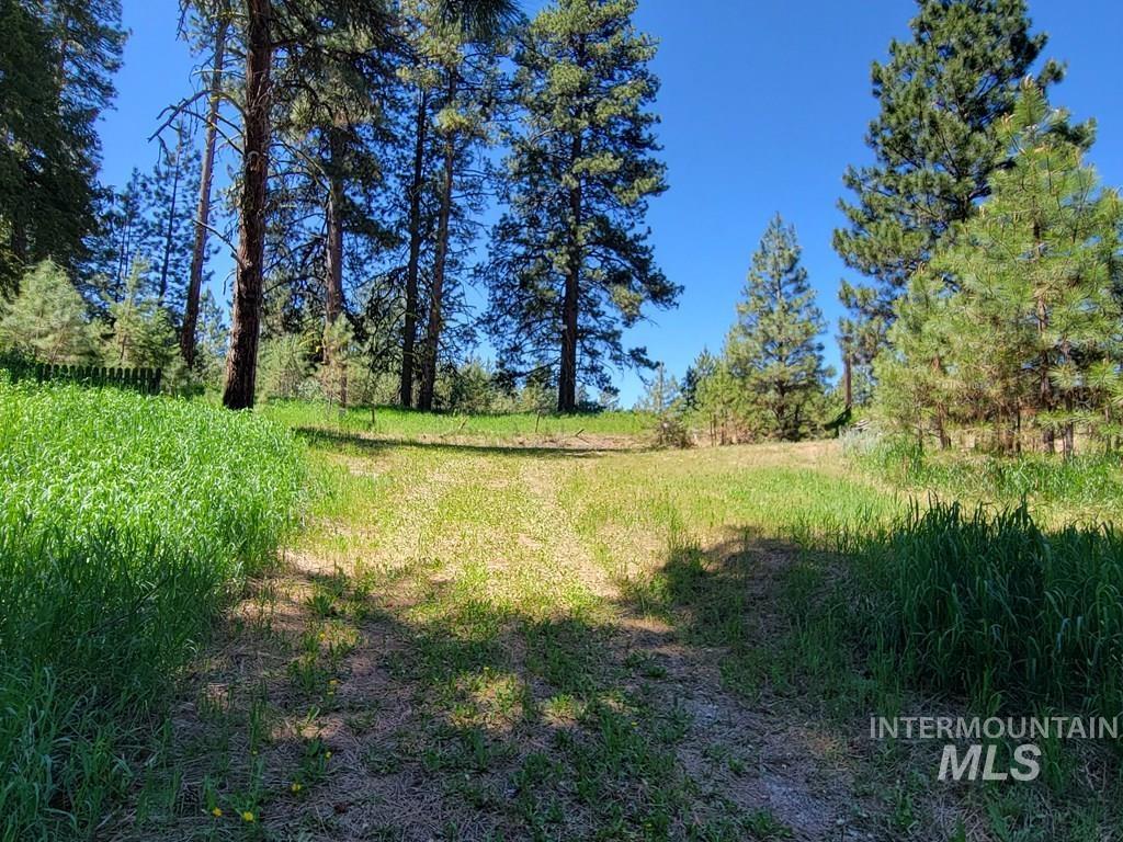View of local wilderness