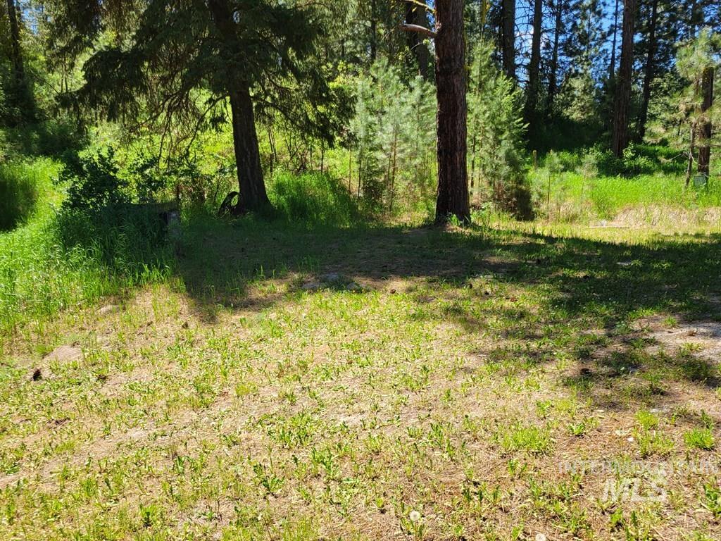 View of local wilderness