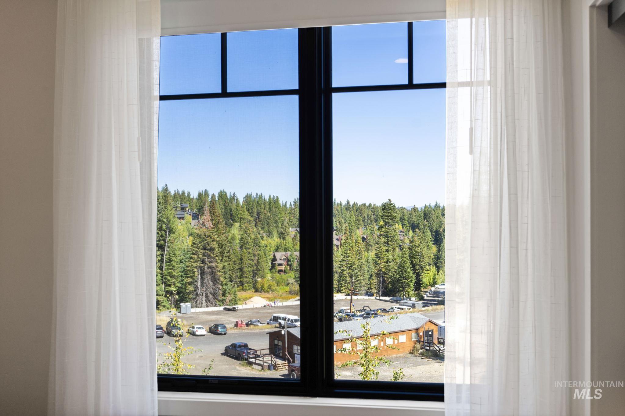 Detailed view of a forest