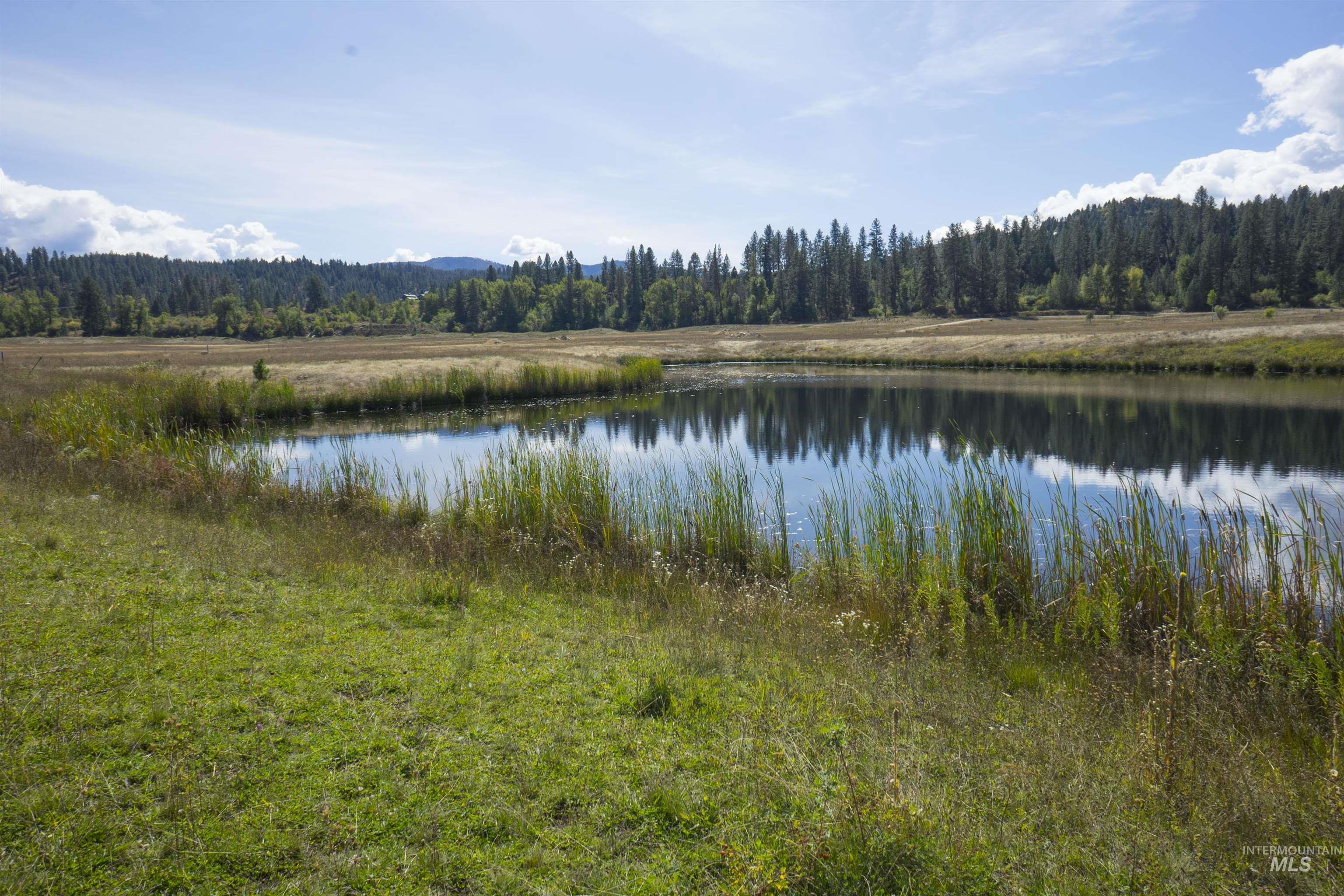 View of fishing pond