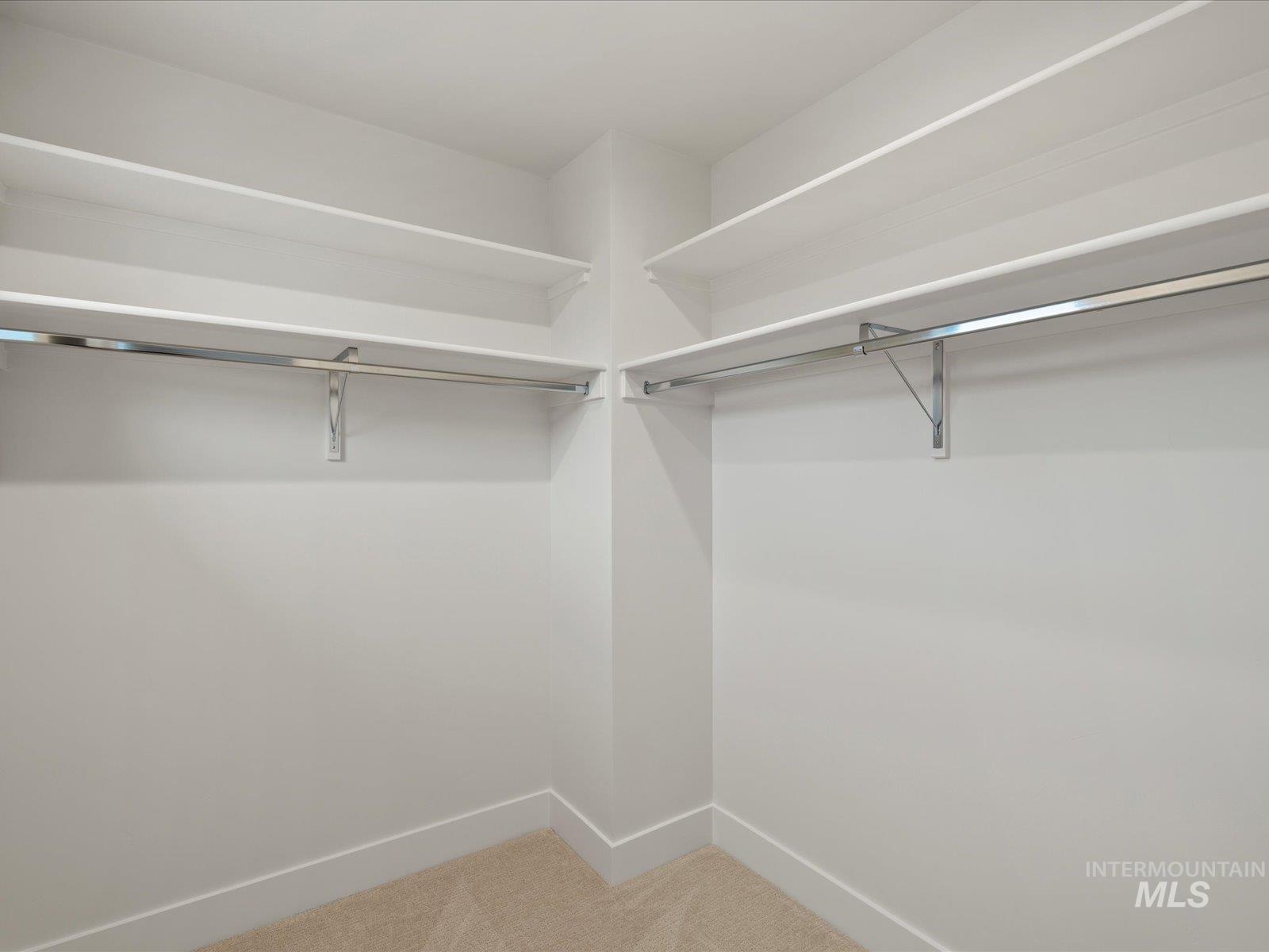 Spacious closet with light carpet