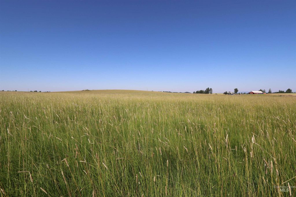 Photo of TBD Stuart Road, Parcel A, Orofino, ID 83544 (MLS # 98918104)