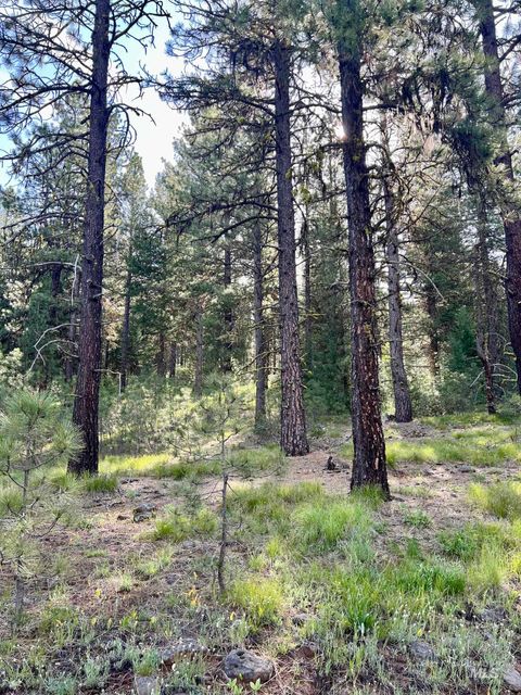 Photo of 20 Meadows Rd, New Meadows, ID 83654 (MLS # 98945568)