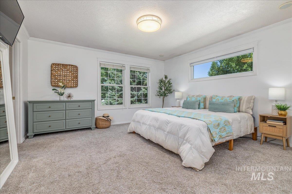 Bright interior space with light-toned carpet flooring